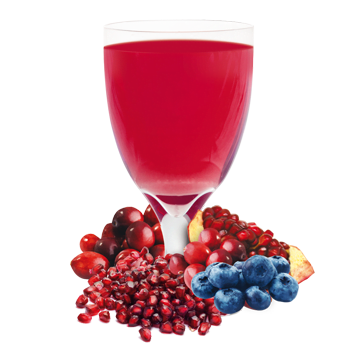 The Ideal U Nutrition Weight Loss & Diabetes Management Albany & Clifton Park New York - Blueberry and Cran Granata Flavored Drink Mix