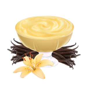 Ready-to-Serve Vanilla Pudding 